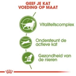 Royal Canin Kattenvoer Outdoor 7+ 2 Kg 6 Royal Canin Kattenvoer Outdoor 7+ 2 Kg -Goedkope Dierenwereld XL winkel royal canin outdoor 7plus volwassen kat buitenkatten vanaf 7 jaar hero usp