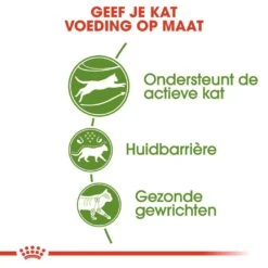 Royal Canin Kattenvoer Outdoor 10 Kg -Goedkope Dierenwereld XL winkel royal canin outdoor volwassen kat buitenkatten hero usp 2