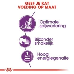 Royal Canin Kattenvoer Sensible 33 4 Kg -Goedkope Dierenwereld XL winkel royal canin sensible 33 volwassen kat ondersteuning spijsvertering hero usp 1