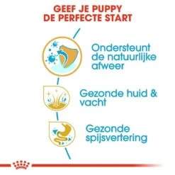 Royal Canin Hondenvoer Shih Tzu Puppy 1,5 Kg -Goedkope Dierenwereld XL winkel royal canin shih tzu junior pup hond shih tzu hero usp