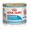 Royal Canin Hondenvoer Starter Mousse 12 X 195 Gr