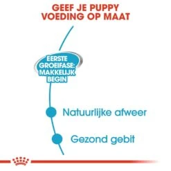 Royal Canin Hondenvoer Starter Mousse 12 X 195 Gr -Goedkope Dierenwereld XL winkel royal canin starter mousse mother babydog pup hond natuurlijke afweer tijdens dracht hero usp