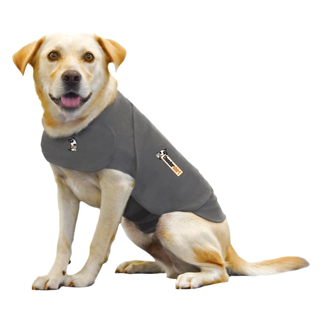Thundershirt 1 Thundershirt