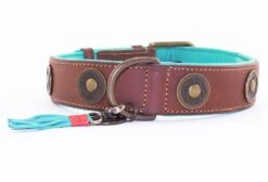 Dog With A Mission Halsband Urban -Goedkope Dierenwereld XL winkel urban 4cm halsband